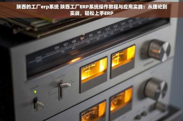 陕西的工厂erp系统 陕西工厂ERP系统操作教程与应用实践：从理论到实战，轻松上手ERP