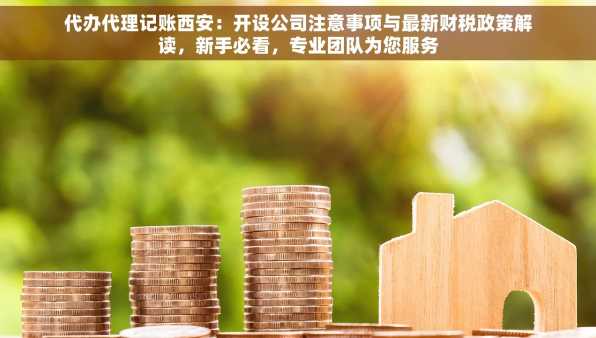 代办代理记账西安：开设公司注意事项与最新财税政策解读，新手必看，专业团队为您服务