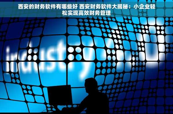 西安的财务软件有哪些好 西安财务软件大揭秘：小企业轻松实现高效财务管理