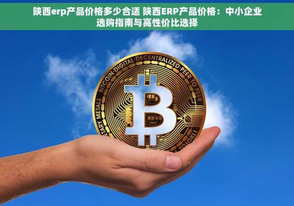 陕西erp产品价格多少合适 陕西ERP产品价格：中小企业选购指南与高性价比选择