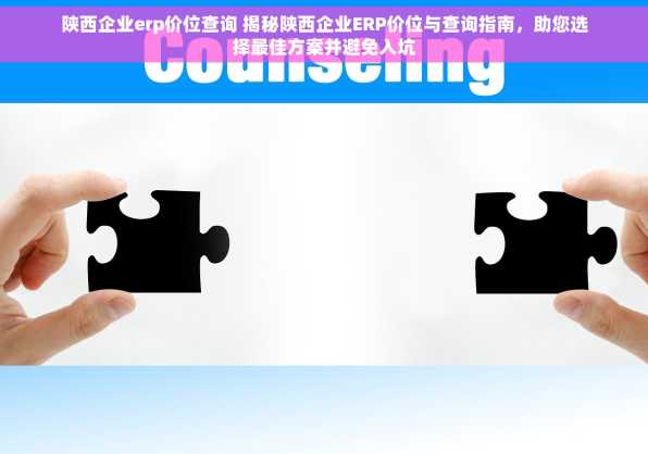 陕西企业erp价位查询 揭秘陕西企业ERP价位与查询指南，助您选择最佳方案并避免入坑