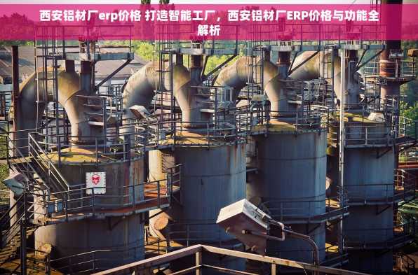 西安铝材厂erp价格 打造智能工厂，西安铝材厂ERP价格与功能全解析