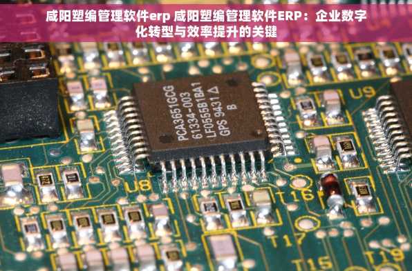 咸阳塑编管理软件erp 咸阳塑编管理软件ERP：企业数字化转型与效率提升的关键