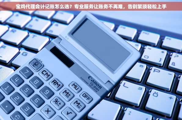 宝鸡代理会计记账怎么选？专业服务让账务不再难，告别繁琐轻松上手
