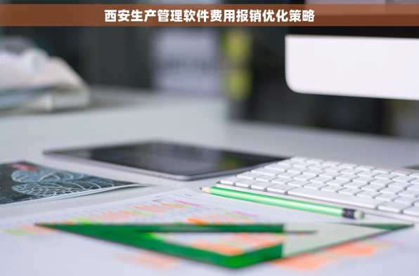 西安生产管理软件费用报销优化策略