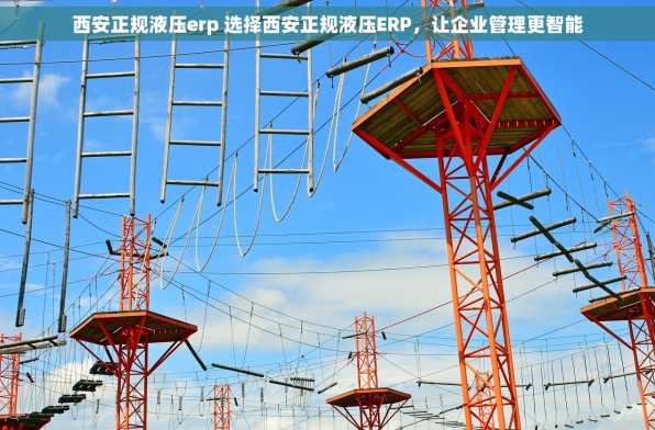 西安正规液压erp 选择西安正规液压ERP，让企业管理更智能