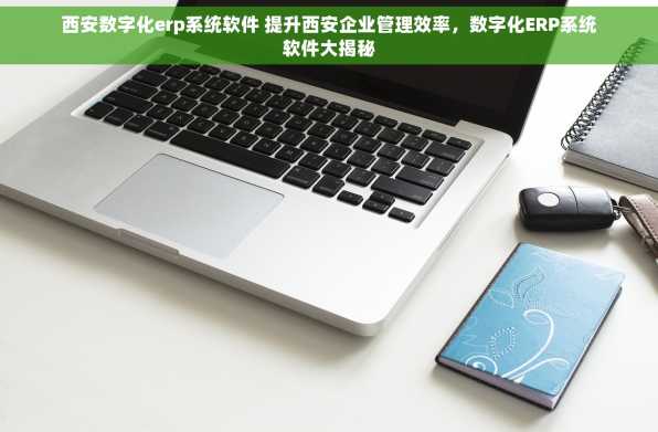 西安数字化erp系统软件 提升西安企业管理效率，数字化ERP系统软件大揭秘