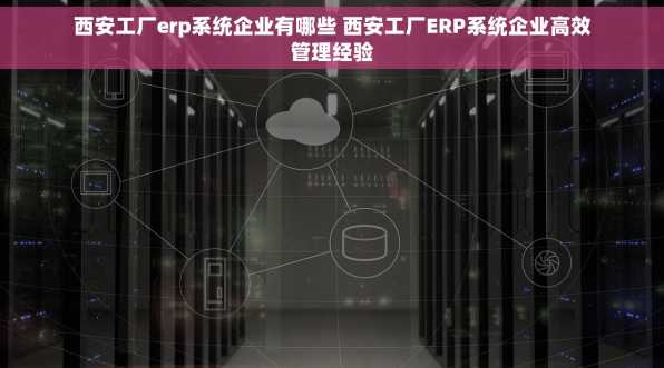 西安工厂erp系统企业有哪些 西安工厂ERP系统企业高效管理经验