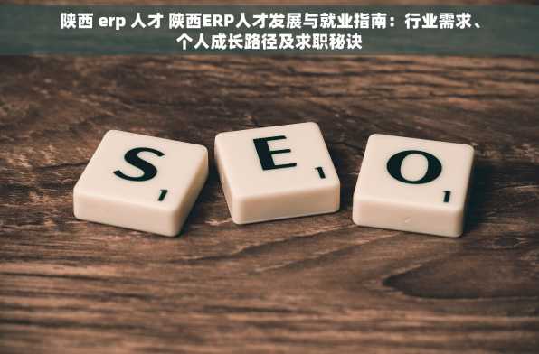 陕西 erp 人才 陕西ERP人才发展与就业指南：行业需求、个人成长路径及求职秘诀