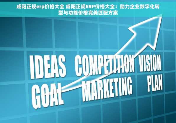 咸阳正规erp价格大全 咸阳正规ERP价格大全：助力企业数字化转型与功能价格完美匹配方案