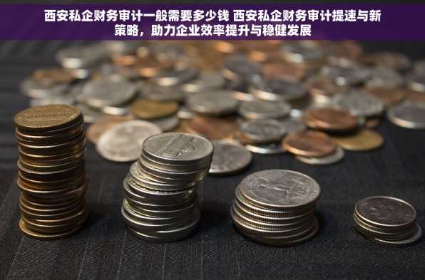 西安私企财务审计一般需要多少钱 西安私企财务审计提速与新策略，助力企业效率提升与稳健发展