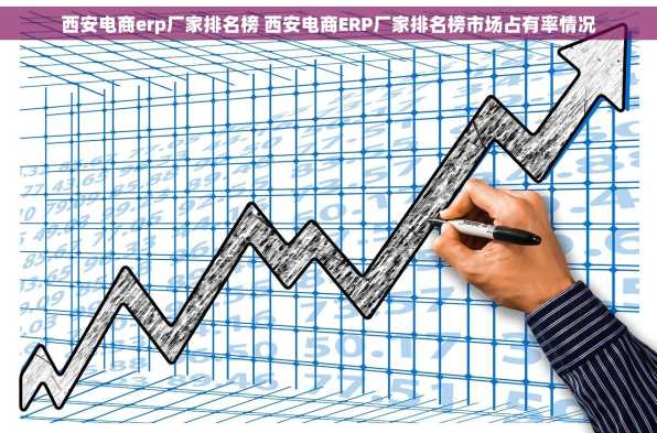 西安电商erp厂家排名榜 西安电商ERP厂家排名榜市场占有率情况