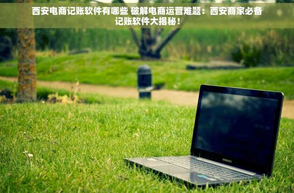 西安电商记账软件有哪些 破解电商运营难题：西安商家必备记账软件大揭秘！
