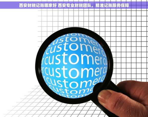 西安财税记账哪家好 西安专业财税团队，精准记账服务保障