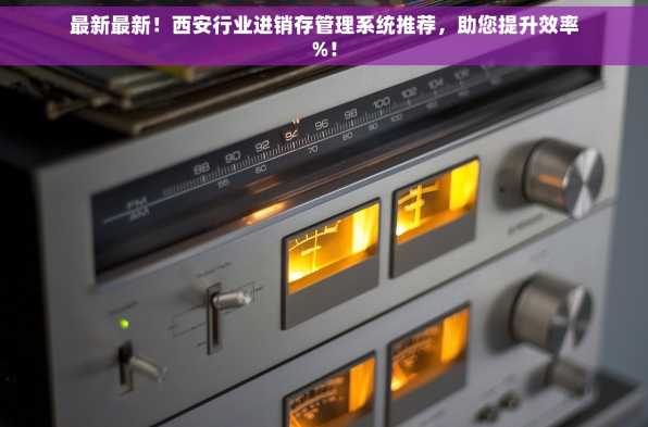 最新最新！西安行业进销存管理系统推荐，助您提升效率%！