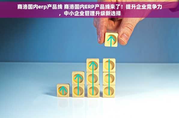商洛国内erp产品线 商洛国内ERP产品线来了！提升企业竞争力，中小企业管理升级新选择