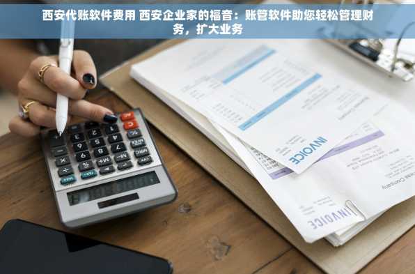 西安代账软件费用 西安企业家的福音：账管软件助您轻松管理财务，扩大业务