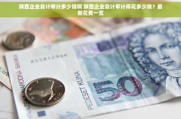 陕西企业会计审计多少钱啊 陕西企业会计审计得花多少钱？最新花费一览