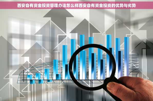 西安自有资金投资管理办法怎么样西安自有资金投资的优势与劣势