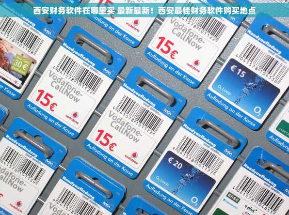 西安财务软件在哪里买 最新最新！西安最佳财务软件购买地点