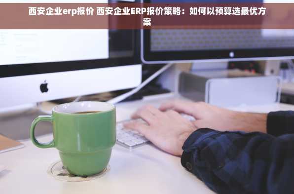 西安企业erp报价 西安企业ERP报价策略：如何以预算选最优方案