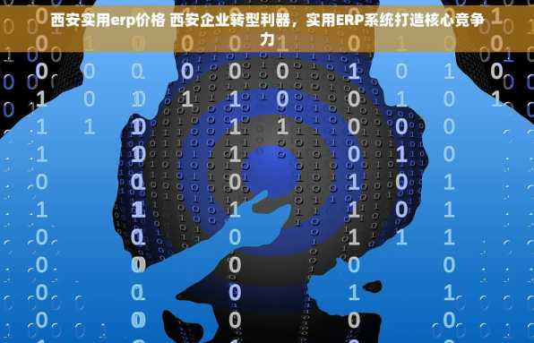 西安实用erp价格 西安企业转型利器，实用ERP系统打造核心竞争力