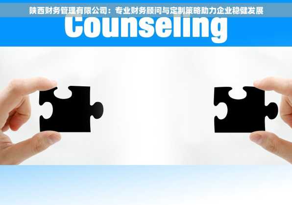 陕西财务管理有限公司：专业财务顾问与定制策略助力企业稳健发展