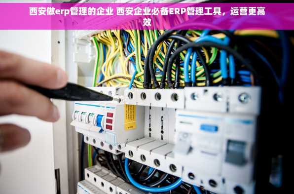 西安做erp管理的企业 西安企业必备ERP管理工具，运营更高效