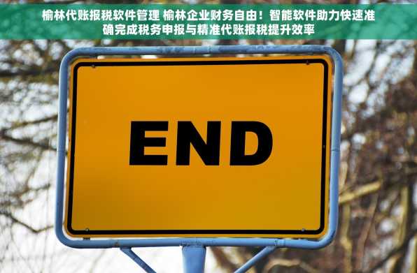 榆林代账报税软件管理 榆林企业财务自由！智能软件助力快速准确完成税务申报与精准代账报税提升效率
