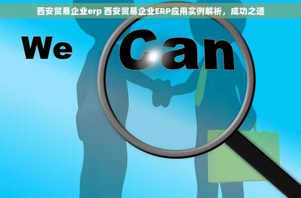 西安贸易企业erp 西安贸易企业ERP应用实例解析，成功之道