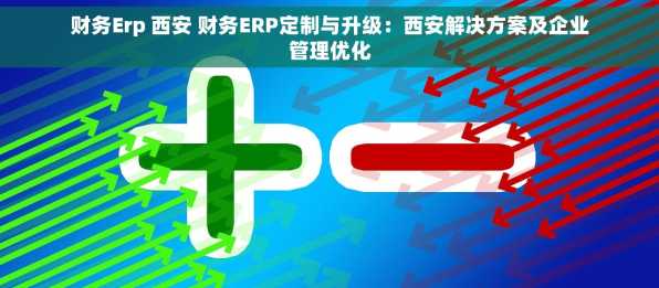 财务Erp 西安 财务ERP定制与升级：西安解决方案及企业管理优化