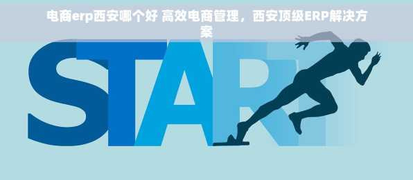 电商erp西安哪个好 高效电商管理，西安顶级ERP解决方案