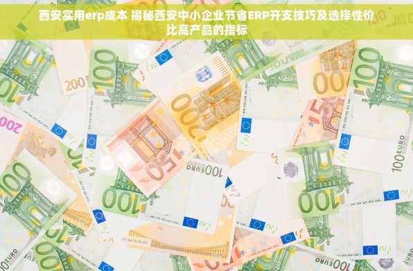 西安实用erp成本 揭秘西安中小企业节省ERP开支技巧及选择性价比高产品的指标