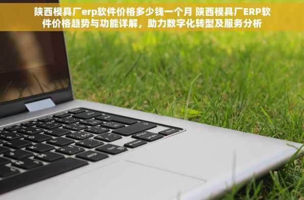 陕西模具厂erp软件价格多少钱一个月 陕西模具厂ERP软件价格趋势与功能详解，助力数字化转型及服务分析