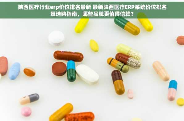 陕西医疗行业erp价位排名最新 最新陕西医疗ERP系统价位排名及选购指南，哪些品牌更值得信赖？