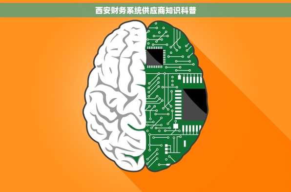 西安财务系统供应商知识科普