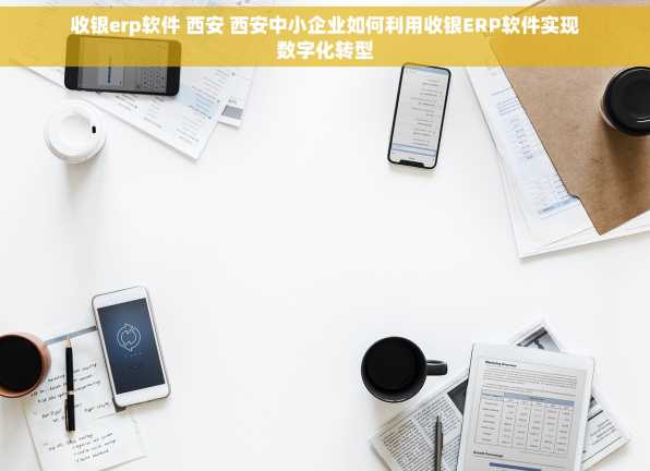 收银erp软件 西安 西安中小企业如何利用收银ERP软件实现数字化转型