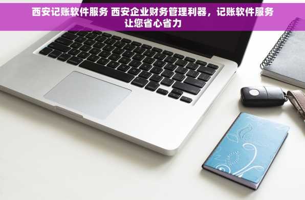 西安记账软件服务 西安企业财务管理利器，记账软件服务让您省心省力