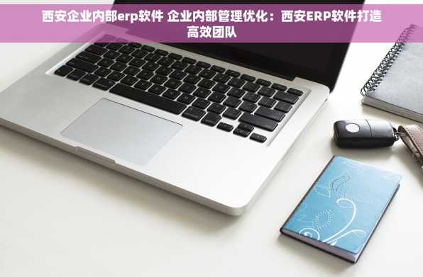 西安企业内部erp软件 企业内部管理优化：西安ERP软件打造高效团队