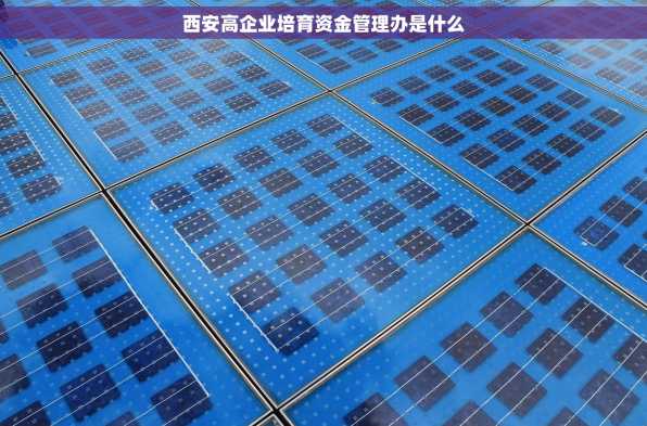 西安高企业培育资金管理办是什么