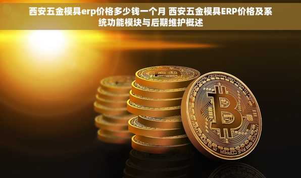西安五金模具erp价格多少钱一个月 西安五金模具ERP价格及系统功能模块与后期维护概述