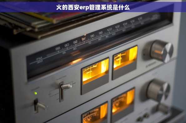 火的西安erp管理系统是什么