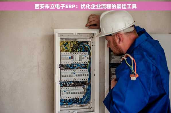 西安东立电子ERP：优化企业流程的最佳工具