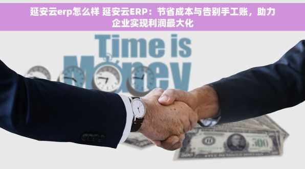 延安云erp怎么样 延安云ERP：节省成本与告别手工账，助力企业实现利润最大化
