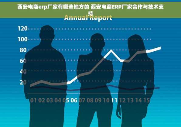 西安电商erp厂家有哪些地方的 西安电商ERP厂家合作与技术支持