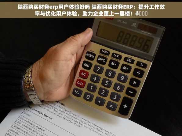 陕西购买财务erp用户体验好吗 陕西购买财务ERP：提升工作效率与优化用户体验，助力企业更上一层楼！🚀