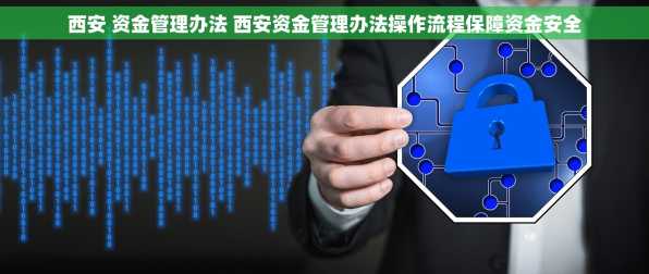 西安 资金管理办法 西安资金管理办法操作流程保障资金安全