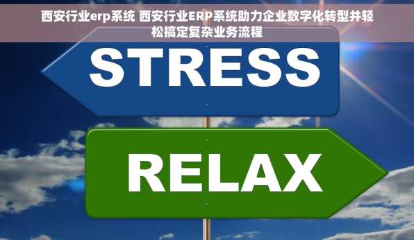 西安行业erp系统 西安行业ERP系统助力企业数字化转型并轻松搞定复杂业务流程
