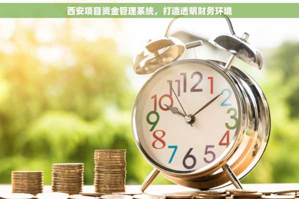 西安项目资金管理系统，打造透明财务环境