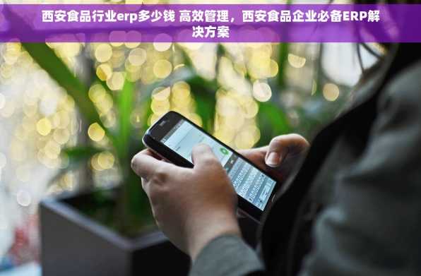 西安食品行业erp多少钱 高效管理，西安食品企业必备ERP解决方案